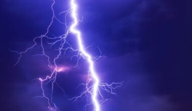 2 people apparently struck by lightning along West Orange Trail in Winter Garden