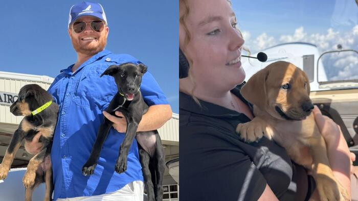 ‘Leave no pup behind:’ Pilots fly rescued puppies into Central Florida
