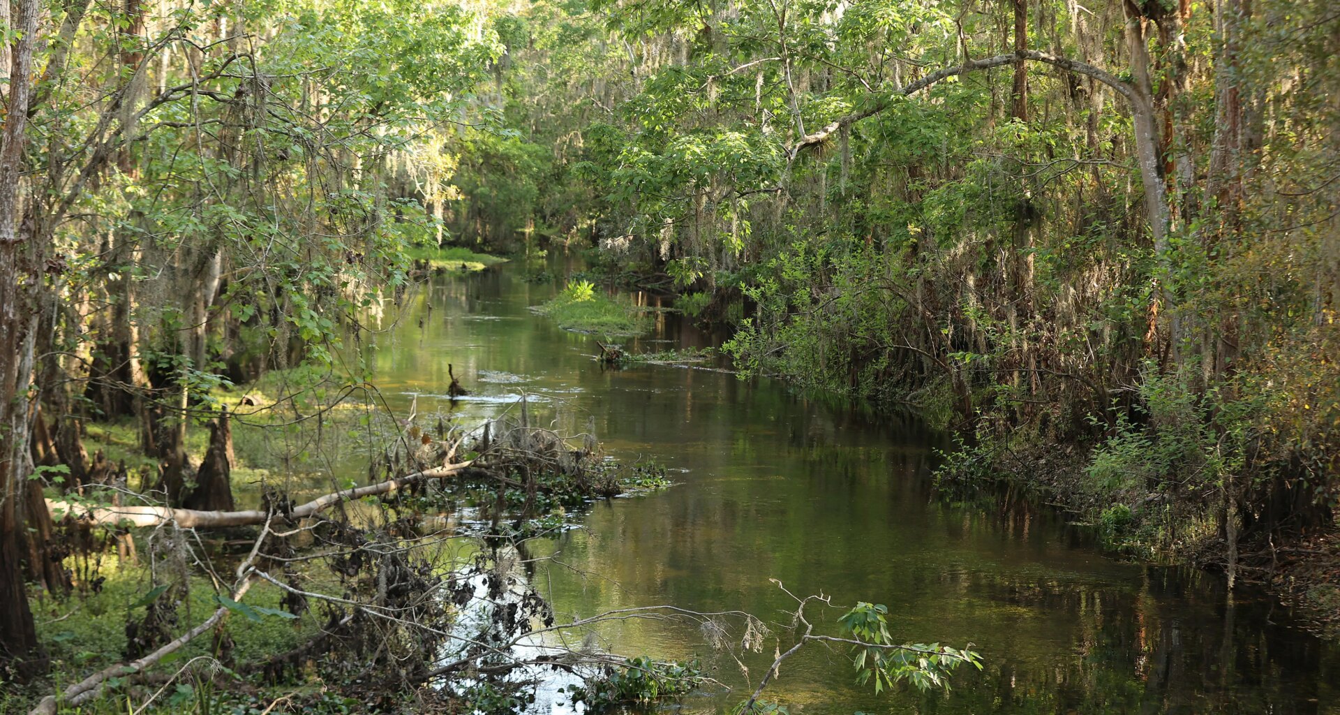 Tuscana development near Shingle Creek moves forward