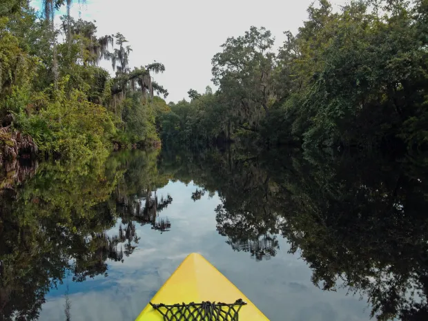The South Florida Water Management District calls Shingle Creek a major water source for Lake Toho and has spent decades acquiring land around it because of its hydrologic importance. (Marjie Lambert/Miami Herald/TNS)