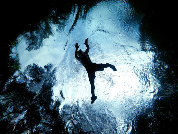 In this view looking straight up from the 20-foot deep spring pool at Blue Spring State Park in Orange City, a young snorkeler navigates July 9, 2025. The park's popular magnitude-one spring best known for hosting hundreds of wintering manatees has reopened to swimmers, snorkelers and tubers after a 13-month closure, from April 2024 to May 2025, for shoreline stabilization and a new boardwalk. (Joe Burbank/Orlando Sentinel)