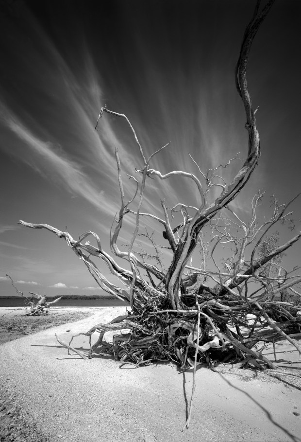 Albin Polasek Museum cutator Tamie Diener-Lafferty paid special attention to Florida when choosing images for the Clyde Butcher "America the Beautiful" exhibit at the Winter Park museum. This photograph is of Indian Key. (© Clyde Butcher)