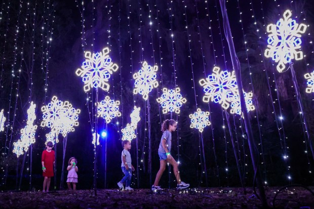 Jaelynn and Jordan Francisco, center, along with Dani Cervantes and Sophie Rodenbrock, explore between light snowflakes that are part of Dazzling Nights at Harry P. Leu Gardens during a preview event on Tuesday, November 21, 2023. The event returns this holiday season. (Rich Pope, Orlando Sentinel)