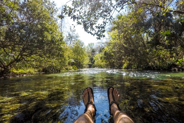 Visitors tube in Rock Springs Run at Kelly Park in Orange County on Feb. 26, 2026. (Patrick Connolly/Orlando Sentinel)