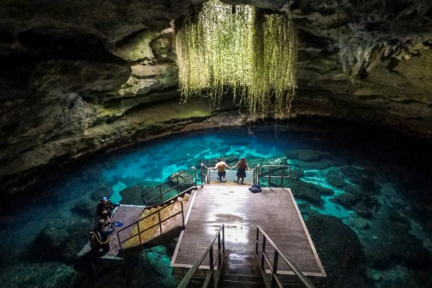 Snorkeling and diving are the ways to experience the underground cavernous spring at Devil's Den Spring in Williston on Feb. 27, 2026 (Patrick Connolly/Orlando Sentinel)