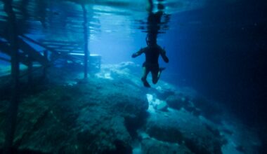 6 springs in 2 days: A Florida road trip reveals freshwater treasures