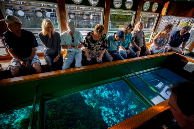 Guests enjoy a glass-bottom boat tour at Silver Springs State Park in Silver Springs on Feb. 26, 2026. (Patrick Connolly/Orlando Sentinel)