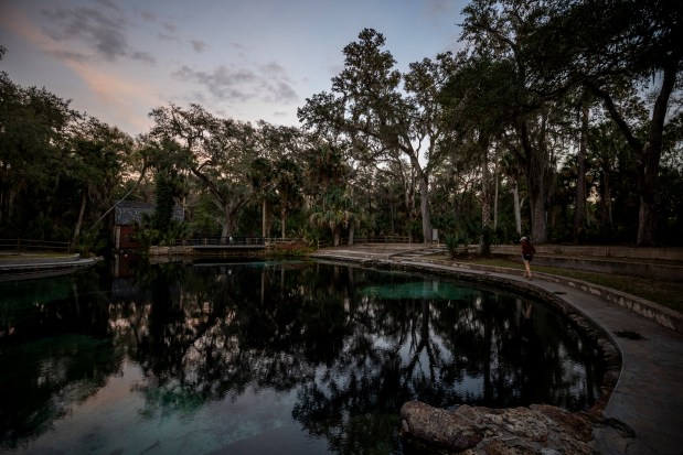 Dusk arrives at the headsprings of Juniper Springs within Ocala National Forest on Feb. 26, 2026 (Patrick Connolly/Orlando Sentinel)
