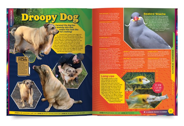 One spread from Ripley's 'Wired into Weird' features animals such as a droopy dog that lives in Central Florida. (Ripley Global Entertainment)