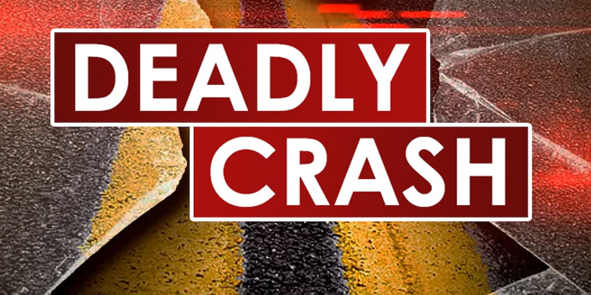 2 dead in US-41 motorcycle crash in Hillsborough County