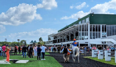 Photo of the paddock and grandstand of Tampa Bay Downs on a busy race day. The grandstand is full of people as racehorses are walked before the next race. (Photo: ©Tammy A. Gantt)