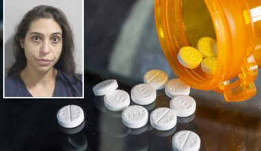 Florida woman dubbed 'Black Widow' charged with attempted murder after drugging men on dating apps