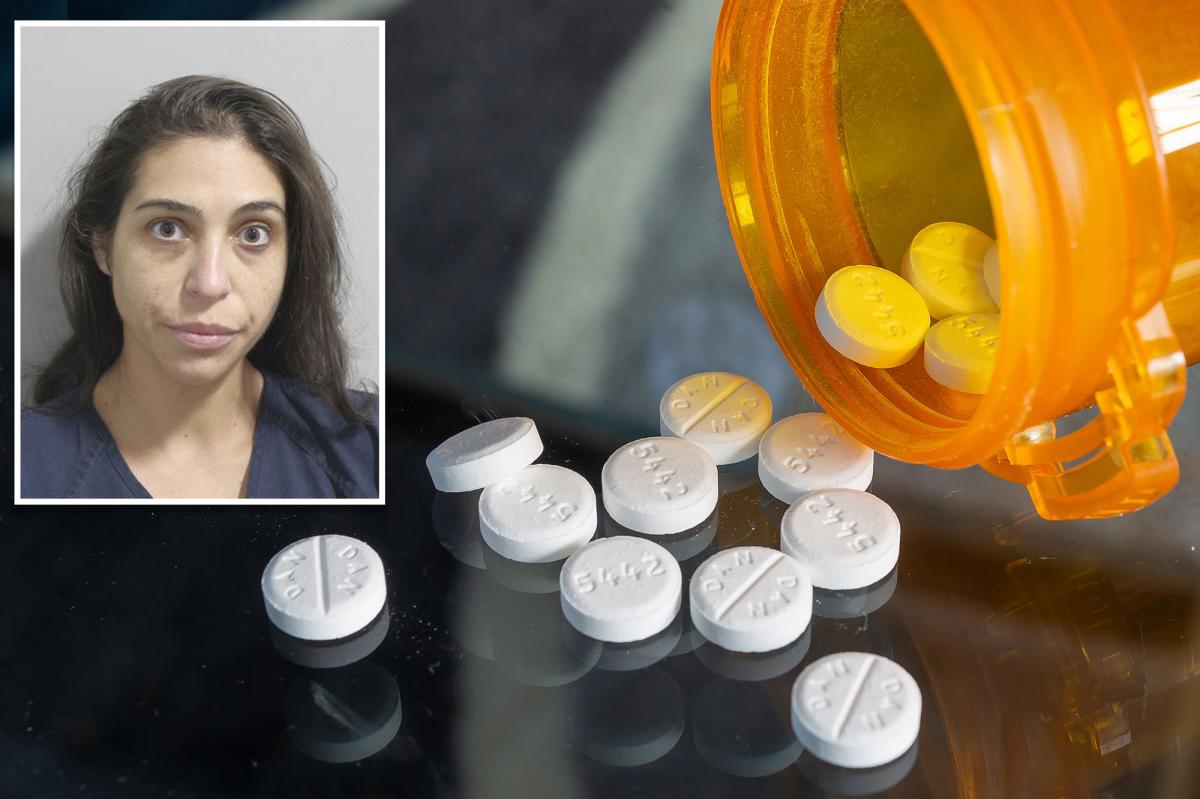 Florida woman dubbed 'Black Widow' charged with attempted murder after drugging men on dating apps