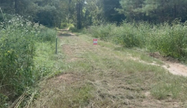 Plans now on pause of Welaunee Arch development in northeast Tallahassee