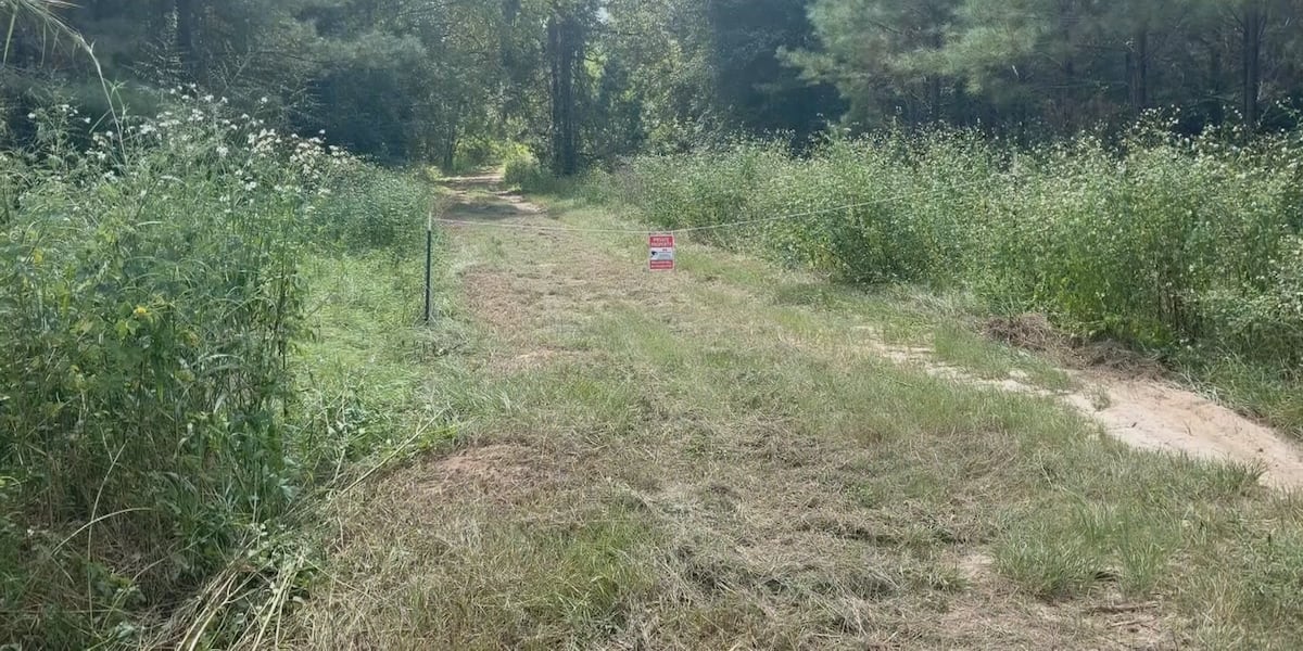 Plans now on pause of Welaunee Arch development in northeast Tallahassee