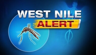 Human case of West Nile Virus confirmed in Duval County