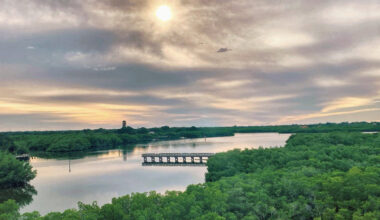 County elects to hang onto Weedon Island and Shell Key