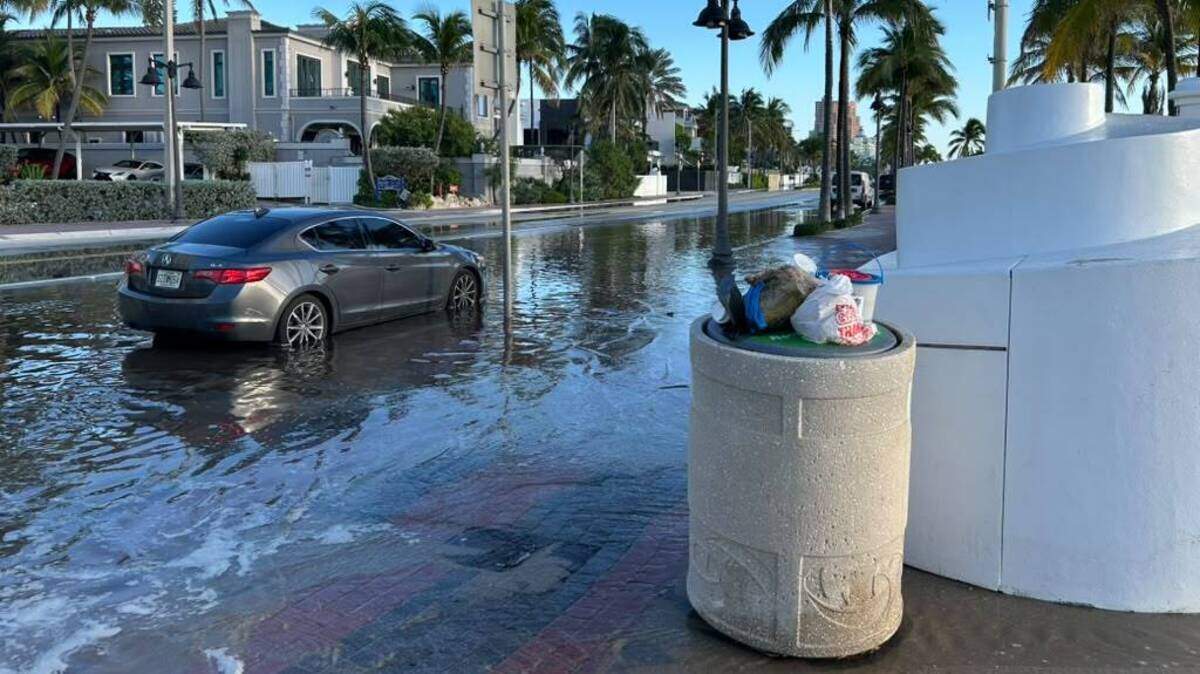Sea level rise signs as king tides swamp coastal roads