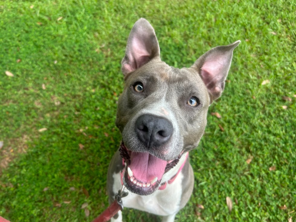 Sandra has lots of love and lots of energy and an ever present smile on her face! 