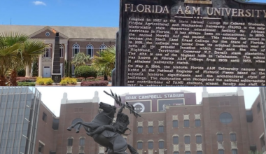 Here’s where FSU and FAMU stand in new national university rankings