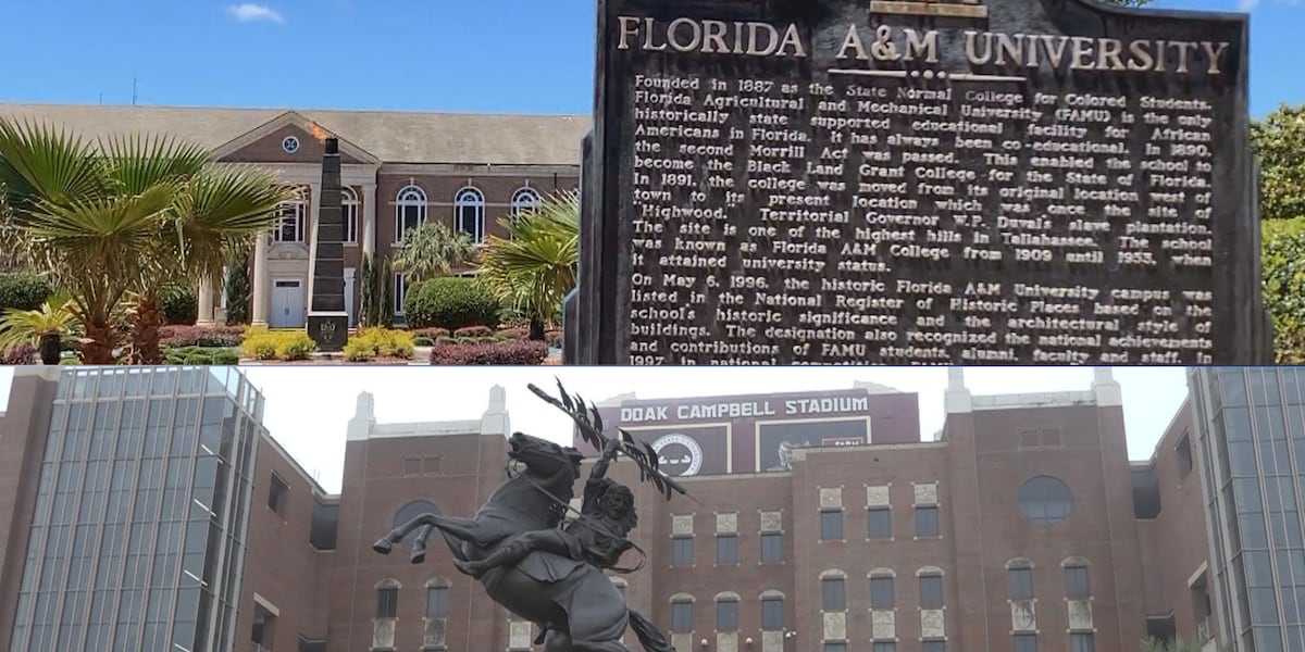 Here’s where FSU and FAMU stand in new national university rankings
