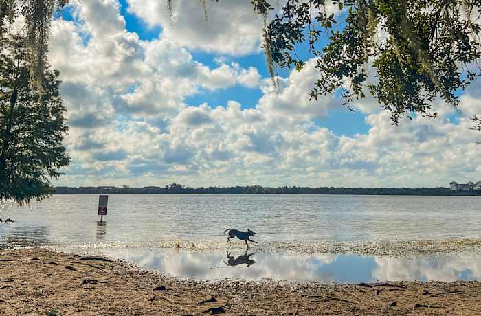 Winter Park shelves paid parking pilot for Lake Baldwin Park