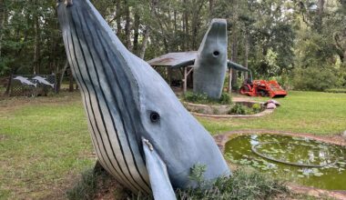 The ‘whale man’ reflects on his unusual marine mammal memorial honoring the lives lost on 9/11