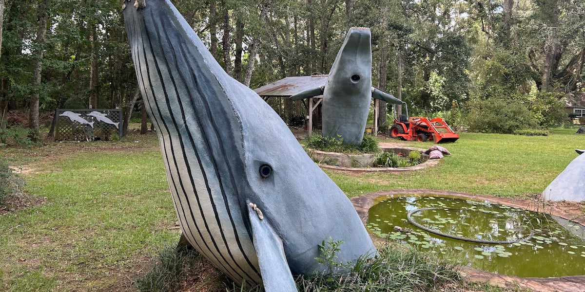 The ‘whale man’ reflects on his unusual marine mammal memorial honoring the lives lost on 9/11