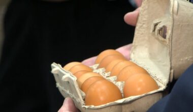 Florida AG announces statewide egg delivery, affordability relief