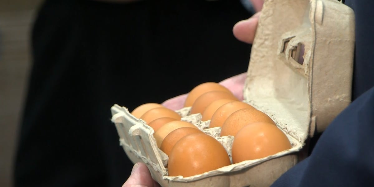 Florida AG announces statewide egg delivery, affordability relief