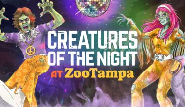 Enter To Win A 4 Pack Of Tickets To ZooTampa
