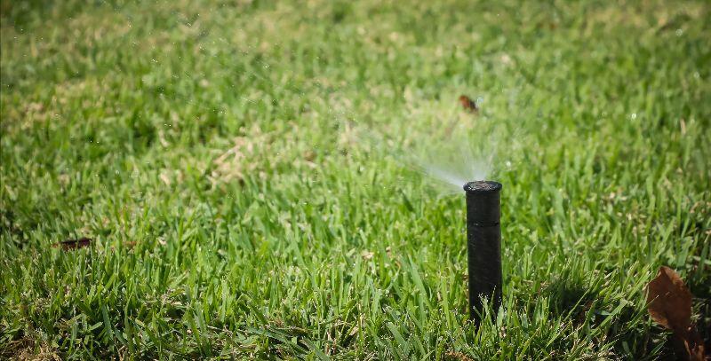 Tampa Water Department Helps Residents Navigate Extended Drought Restrictions