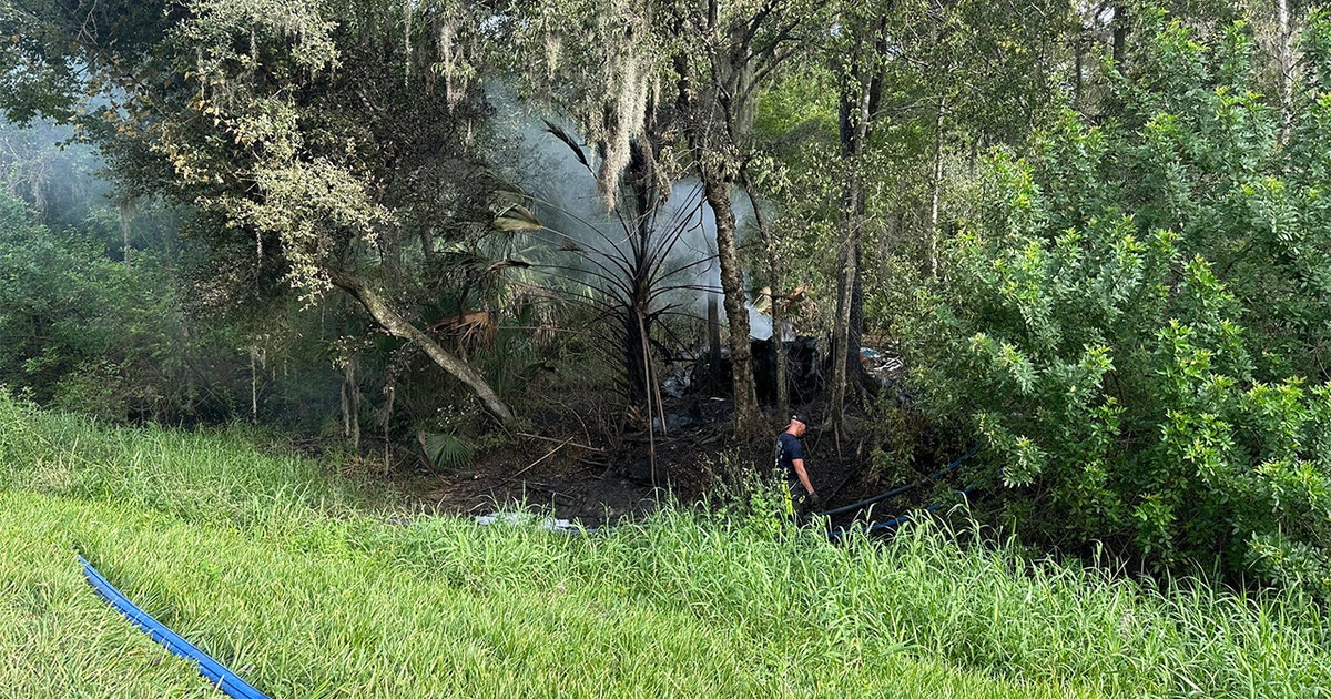 2 dead after small aircraft crashes, catches fire in Hillsborough County: HCFR