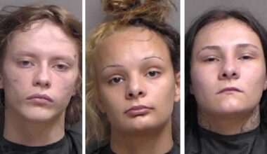 Central Florida deputies arrest 3 after attempt to hide wanted fugitive – Orlando Sentinel