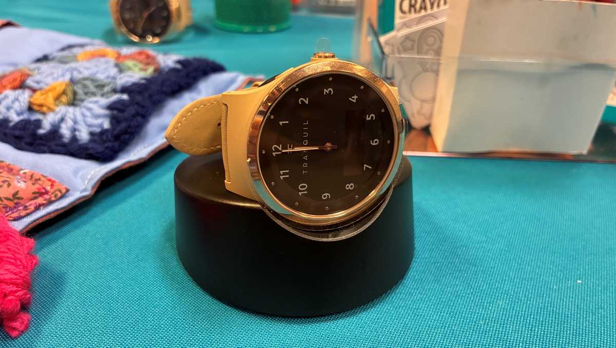 Stuart event showcases GPS-enabled watch for Alzheimer's care
