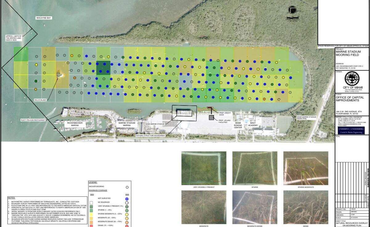 This image shows what the 195 anchors might look like in the basin, compared with the results of a 2023 survey of local seagrass.