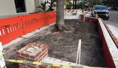 Park Avenue Refresh construction update