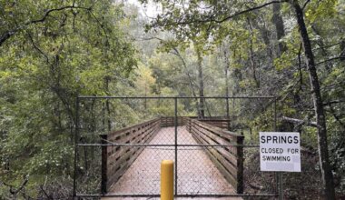 Florida’s springs are at risk amidst Labor Day tourism