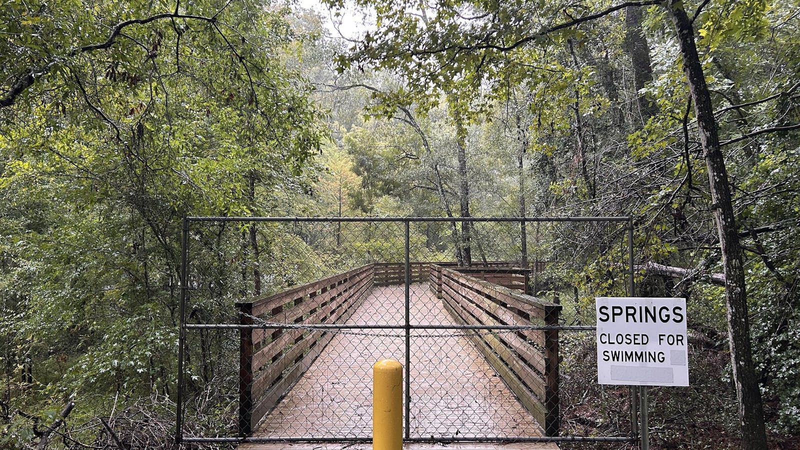 Florida’s springs are at risk amidst Labor Day tourism