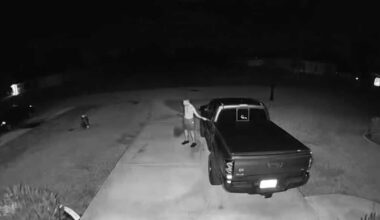 Cape Coral police search for suspect in car burglary attempts