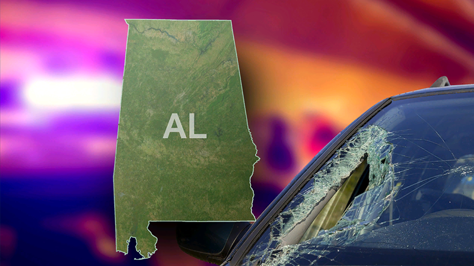 Florida woman dies in Tuscaloosa County crash