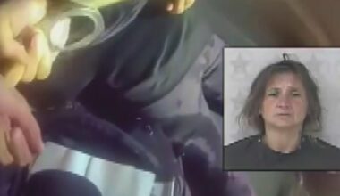 Video shows arrest of Broward woman accused of stealing BSO patrol vehicle, driving it 90 miles