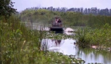 Rain transforms Florida Everglades after drought, benefiting wildlife and businesses