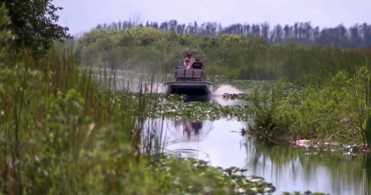 Rain transforms Florida Everglades after drought, benefiting wildlife and businesses