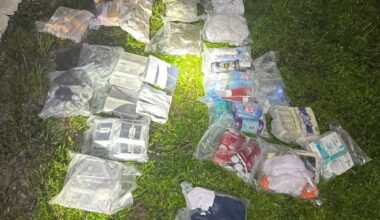 Florida woman behind bars after attempting to deliver drugs, cellphone to prisoners: sheriff