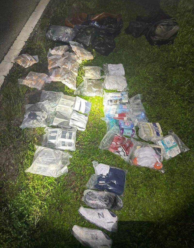 Florida woman behind bars after attempting to deliver drugs, cellphone to prisoners: sheriff