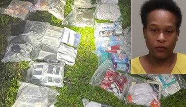 Florida woman abandoned by accomplices during botched prison drop with 464 grams of meth: MCSO