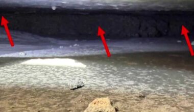 Rialto engineering report shows likely cause of ground collapse
