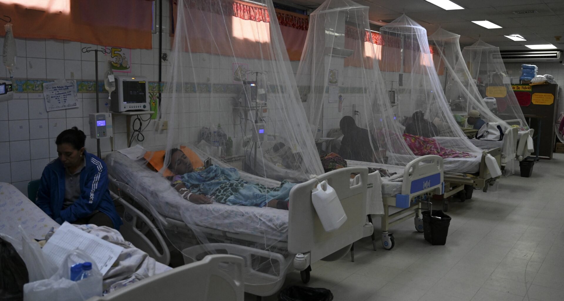 Dengue Patients