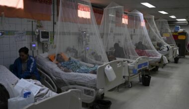 Dengue Patients